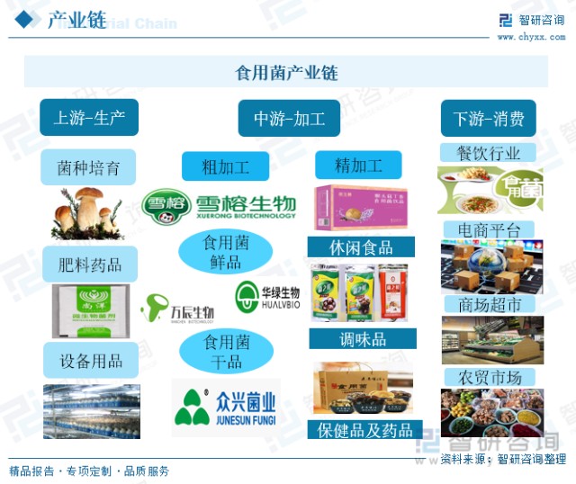 2022年中國食用菌行業(yè)全景速覽 加快食用菌工廠化進(jìn)程，進(jìn)一步提高行業(yè)集中度
